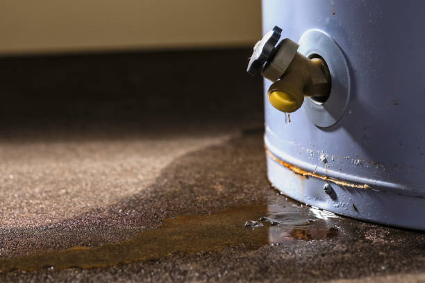 Best Water damage repair service  in Arlington, GA