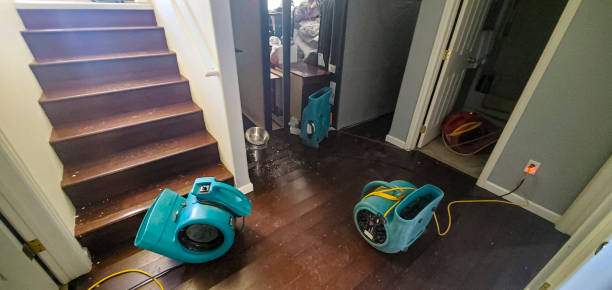 Best Flooded house restoration  in Arlington, GA