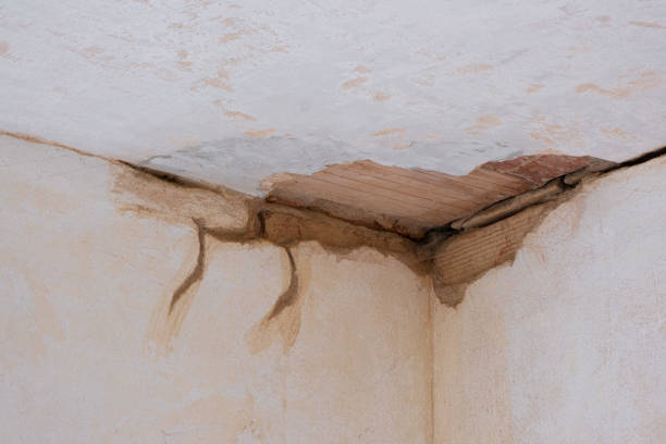Best Residential water damage restoration  in Arlington, GA
