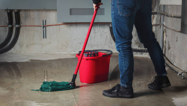 Best Professional water damage repair  in Arlington, GA