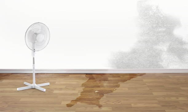 Best Water damage restoration near me  in Arlington, GA