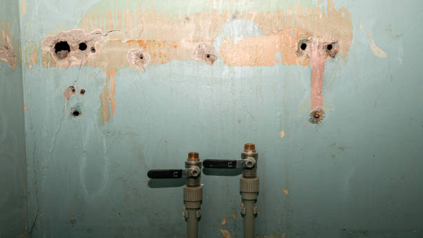 Best Water damage restoration mold remediation  in Arlington, GA