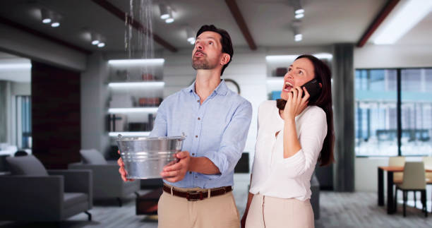 Best Carpet water damage restoration  in Arlington, GA